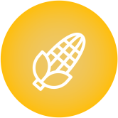 elementos_Mesa de trabajo 1-03